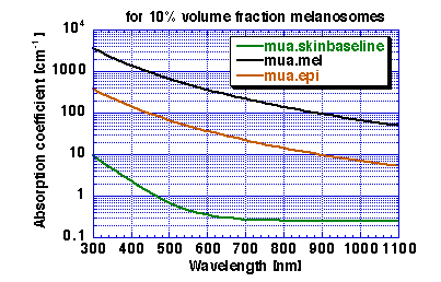 Melanin absorption of epidermis