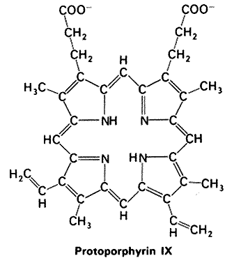 protoporphyrin IX structure