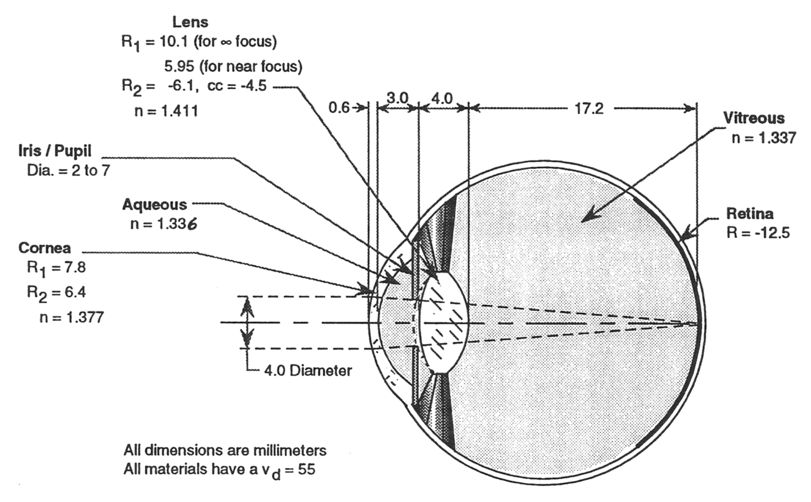 Eye