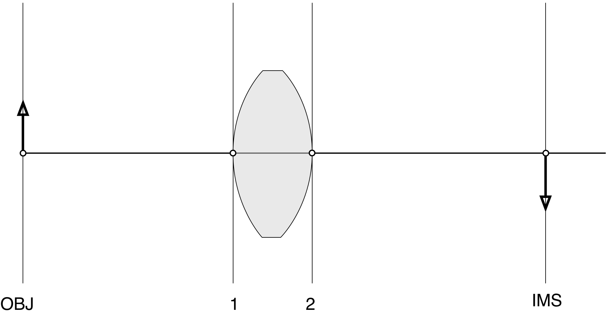 Labeled Surfaces