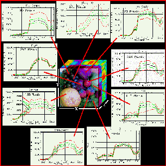 hyperspectral bowl of fruit