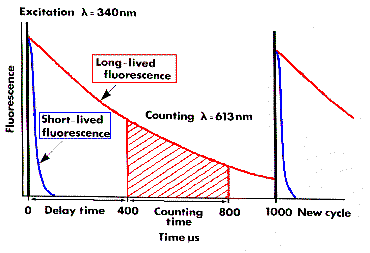 time-resolved lifetime