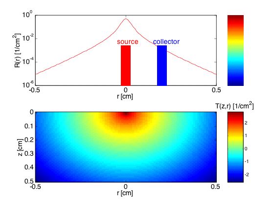 Optical Fiber Spectroscopy