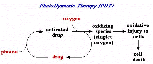 PDT diagram