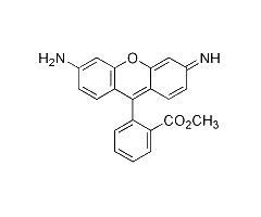 Rhodamine 123