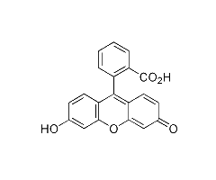 Fluorescein