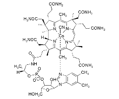 Vitamin B12