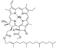 Chlorophyll a