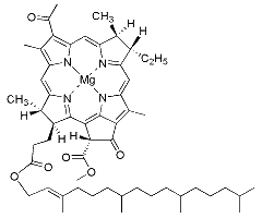 Bacteriochlorophyll a