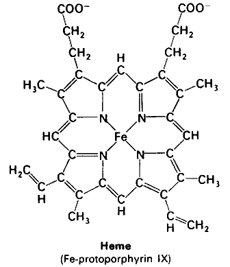heme-structure